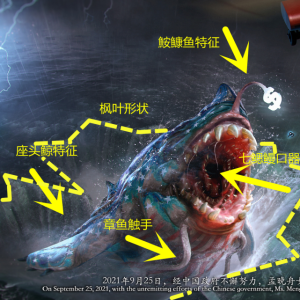 《晚舟归来》庆祝孟晚舟回国，乌合麒麟再出神作！多处细节让人感动，不服不行-如意