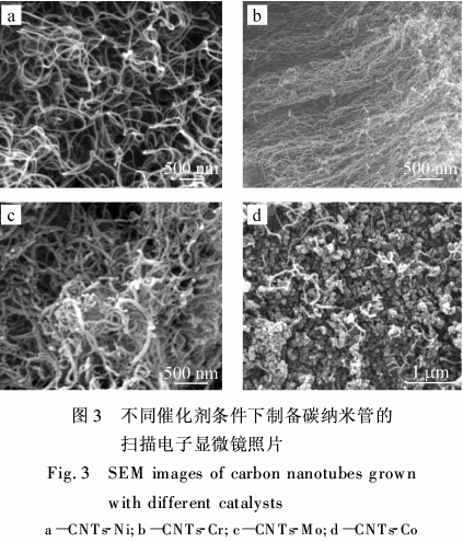 含缺陷碳纳米管