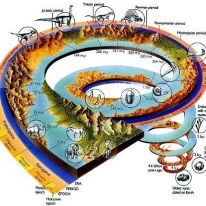 地球46亿岁曾诞生过几次智慧文明，人类也只是匆匆过客？-如意