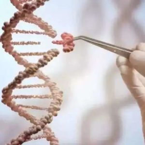 中国人究竟起源于哪里？我们的祖先真的是非洲人吗？-如意