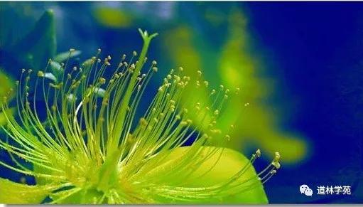 图片[6]-一个是百经之首，一个是万经之王，为何都对同一个字极力推崇？ - 如意-如意