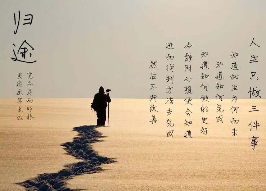 10个小故事感悟太深了,最后一条绝了 - 如意-如意