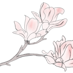 历史上名字取得最好的30个人，念一下都好美-如意