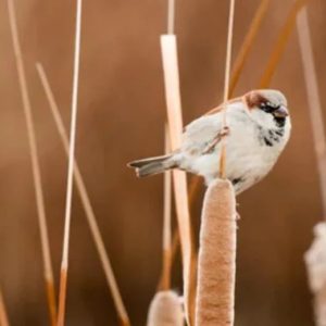 4个小故事，很短，却影响了上亿人！-如意