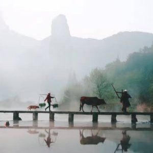 蒋勋：不是所有人都能看见美-如意