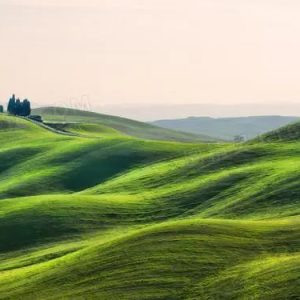 心理平衡是长寿的决定性因素-如意