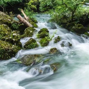 假如活成诗中的样子，你选哪一首？-如意