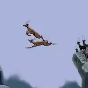 催人泪下,为之震撼的3个真实故事!-如意