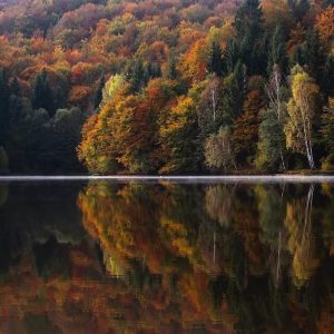 毛主席诗词里的秋天，大气磅礴，何等壮美！-如意