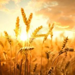 让人瞬间清醒的20句话！-如意