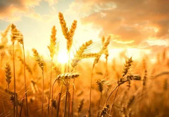 让人瞬间清醒的20句话！ - 如意-如意