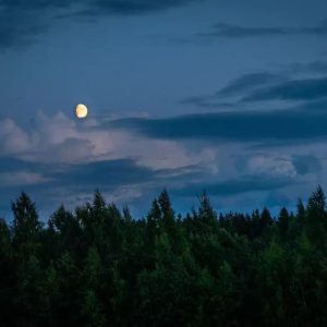 世上最可怕的是什么？（震撼人心）-如意