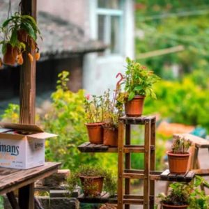 人过60岁，不想有病，一定要记住这22点！-如意