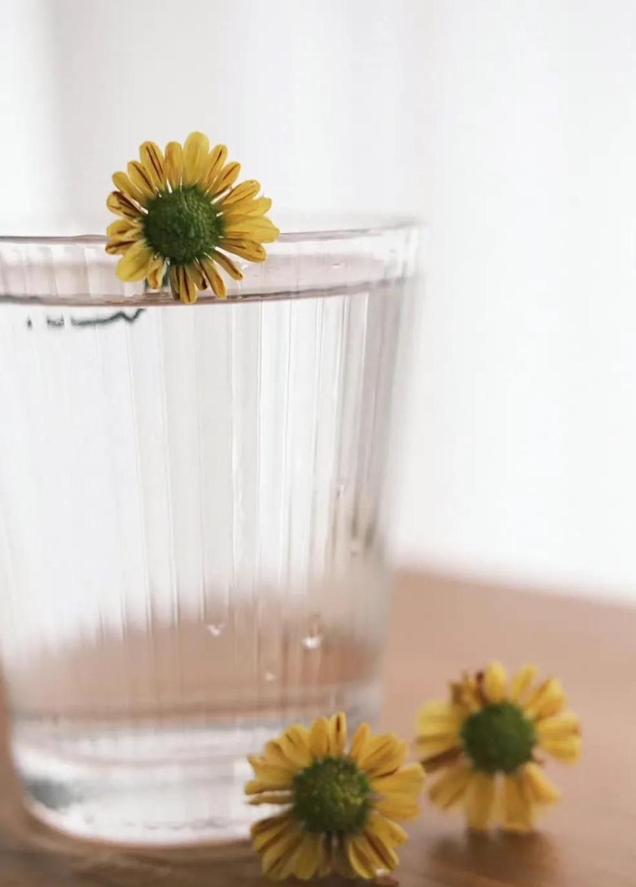 图片[1]-10个好习惯，让你逆袭成为100分女神 - 如意-如意