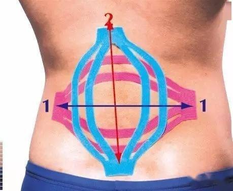 图片[3]-单车骑行中，你觉得自己的拱背正确吗？ - 如意-如意