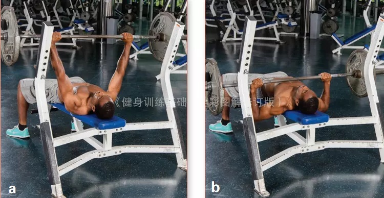 图片[3]-谁告诉你跑步只需要用腿？上肢力量同样不可忽视 - 如意-如意