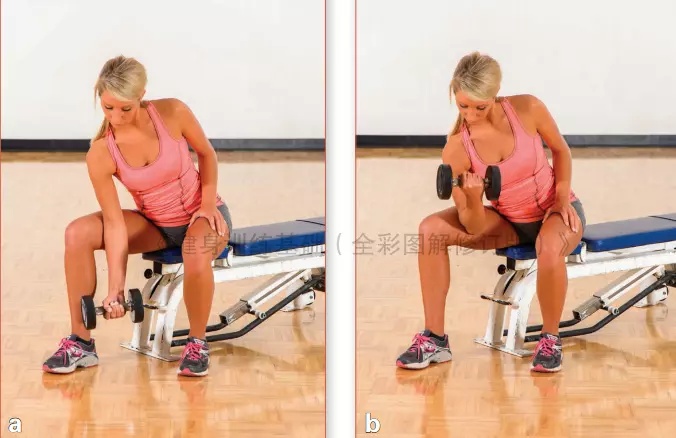 图片[7]-谁告诉你跑步只需要用腿？上肢力量同样不可忽视 - 如意-如意