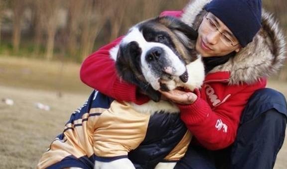 图片[2]-训练狗狗总是失败，高手都是这么做的，原来你只差这一点点 - 如意-如意