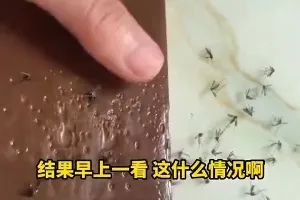 图片[4]-郑强教授称「二十几岁年轻人，没资格享受五十多岁人的待遇」，狼叔你如何看待？ - 如意-如意