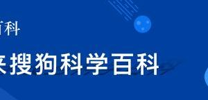 幸福是什么-如意