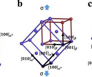 Acta Mater.: 同步辐射高能XRD法研究Ti-30Zr-10Nb合金超低应变硬化的物理机制-如意