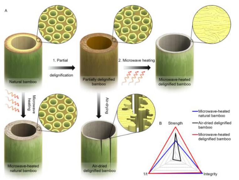 图片[7]-Science正刊子刊频发，他岂止是木头大王！ - 如意-如意