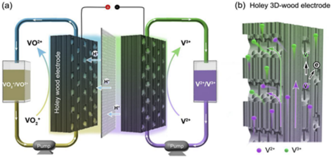 图片[8]-Science正刊子刊频发，他岂止是木头大王！ - 如意-如意
