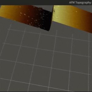 多功能材料微区原位表征系统-FusionScope-如意