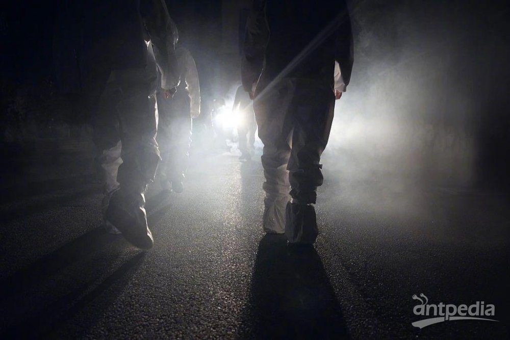 核酸检测公司开始破产了 - 如意-如意