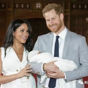 11天内坐了4次私人飞机…自称环保的哈里和梅根这次被diss惨了-如意