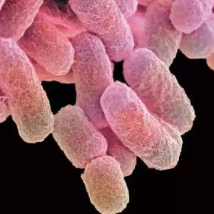 【主编讲堂】日本的科研机构简介-如意