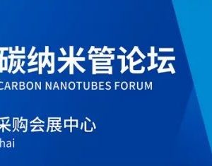 打印的基于单壁碳纳米管的焦耳加热器件集成作为高级复合材料中的功能层-如意