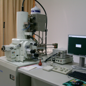 SEM扫描电子显微镜-如意