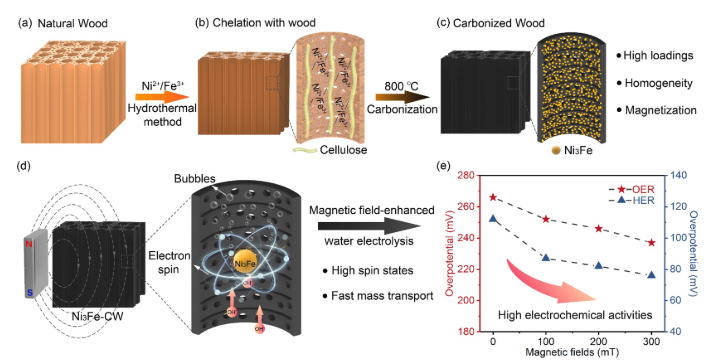 图片[10]-华科大姚永刚课题组 - 如意-如意