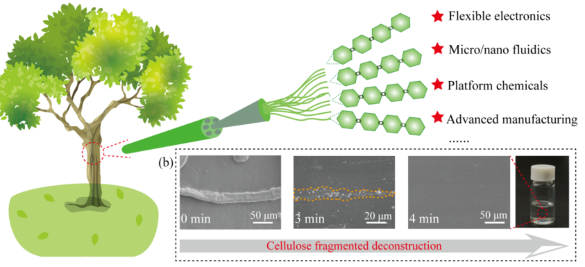 图片[11]-华科大姚永刚课题组 - 如意-如意