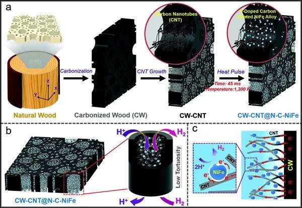 图片[1]-胡良兵Adv. Energy. Mater.：在低曲率的层级碳框架中“链甲催化剂”的原位组装及其用于高效稳定的析氢反应 - 如意-如意