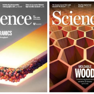 胡良兵（9702），今日再发《Nature》封面！四年9篇NS正刊，4篇封面！-如意