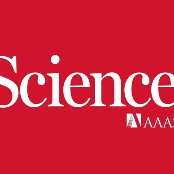 图片[5]-染发剂哪家强，石墨烯帮您忙 - 如意-如意