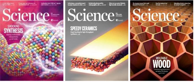 图片[2]-今日重磅：胡良兵等人封面Nature！四年9篇NS正刊，4篇封面！ - 如意-如意