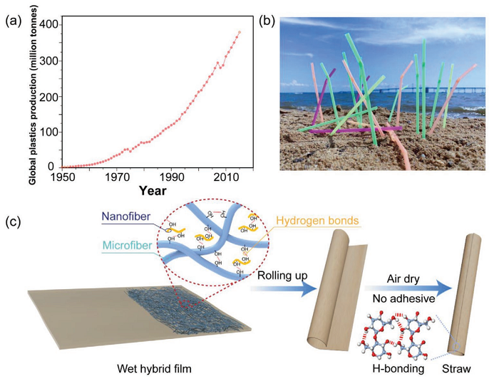 “木头大王”胡良兵教授团队2020工作一览 - 如意-如意