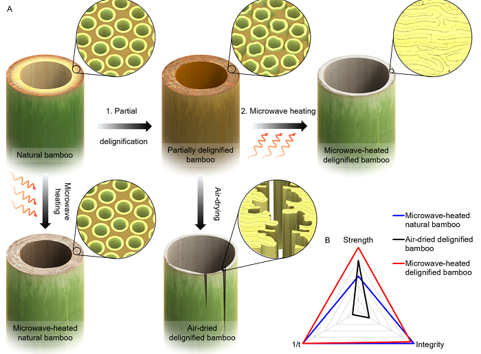 图片[12]-“木头大王”胡良兵教授团队2020工作一览 - 如意-如意