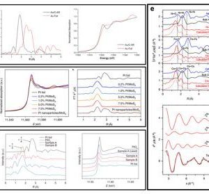 X射线吸收谱（XAFS）在多相催化中的应用-如意