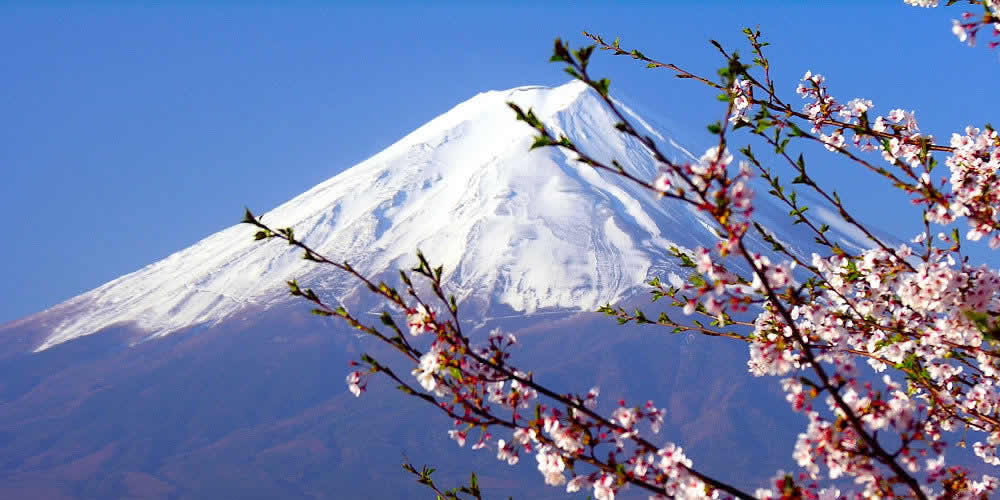 sinterland - 如意-如意