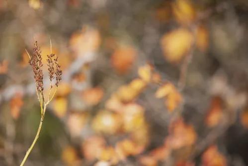 图片[2]-《孙子兵法》里的20种大智慧，一口气读懂最高谋略 - 如意-如意