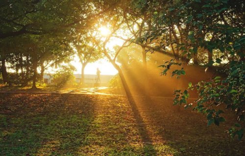 图片[2]-【原创】氧化锆：“稳定才能长久！” - 如意-如意