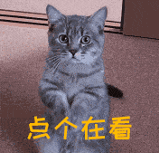 GIF 添加文字的 Ps 教程-如意