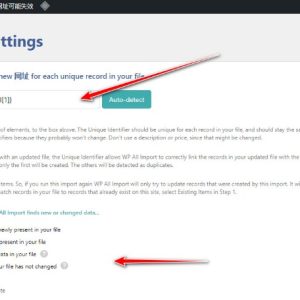 wordpress网站批量导入文章操作方法WP All Import-如意