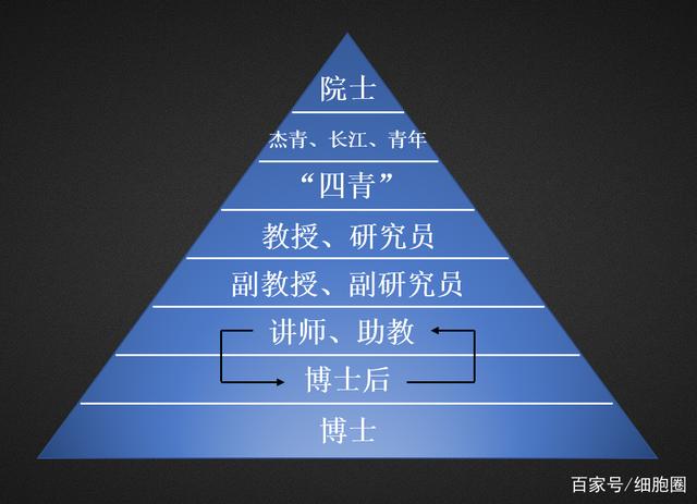 图片[2]-科研道路到底有多艰辛，这篇文章将给你答案 - 如意-如意