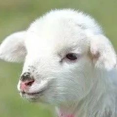 想知道“睡后收入”是什么意思吗？快点进来看看-如意