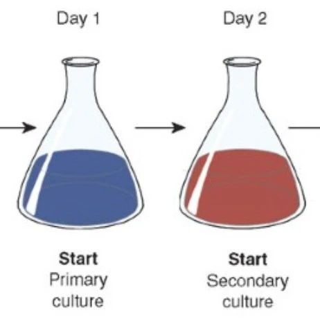 图片[10]-石墨烯片可以用于储能吗？ - 如意-如意